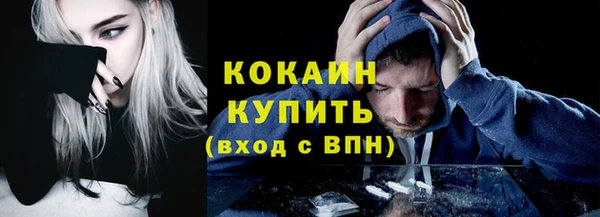 индика Лихославль