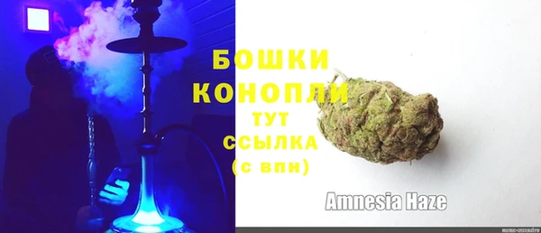 индика Лихославль