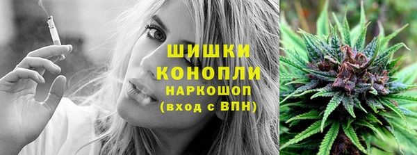 индика Лихославль