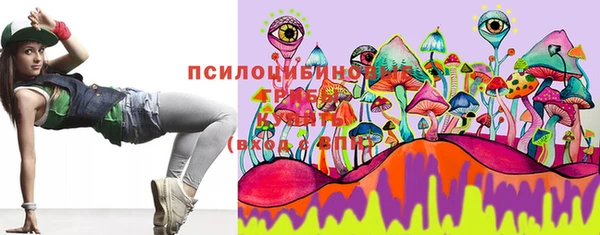 индика Лихославль