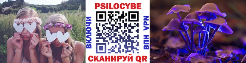 Псилоцибиновые грибы Psilocybine cubensis  Южно-Сухокумск 